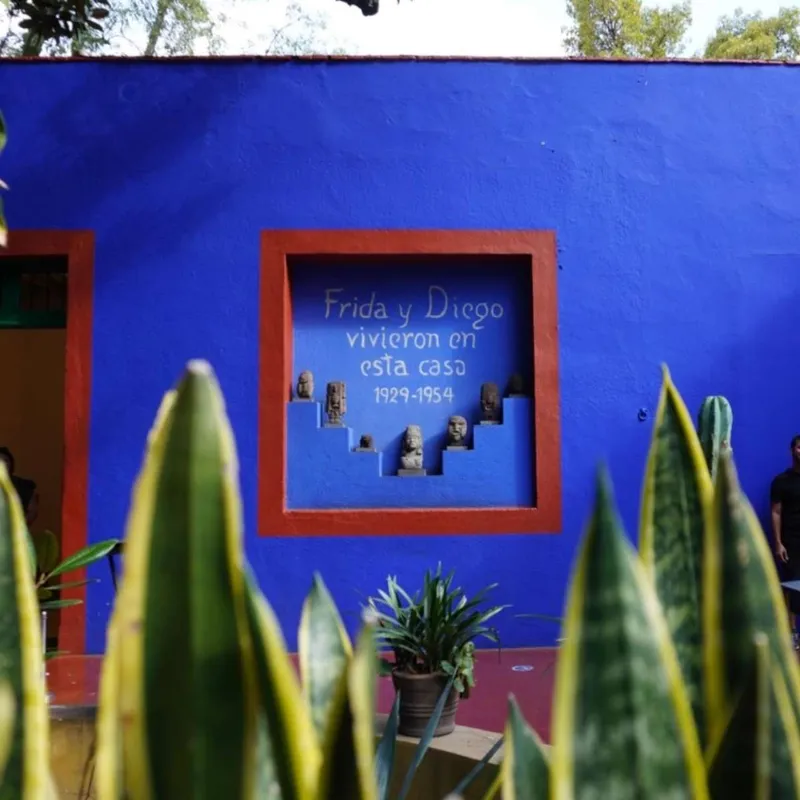 Casa Azul Guided Tour: Frida Kahlo Museum Guide