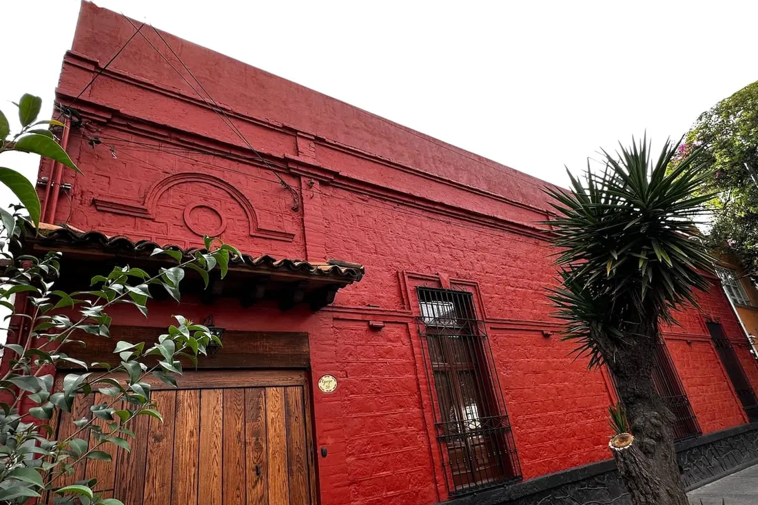 A cat resting on a blue courtyard wall at Casa Azul, part of the frida kahlo museum skip the line tickets visit