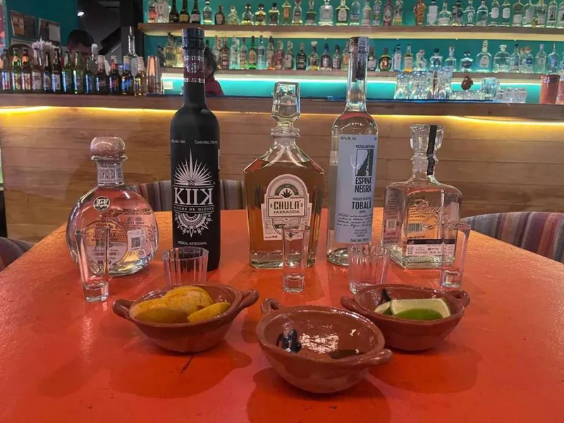 Tequila and Mezcal Museum Tasting Tour Guide